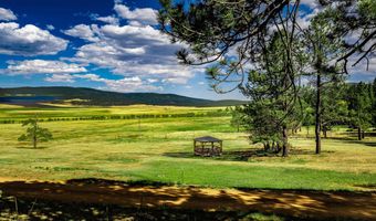 39 Martin Luther King Jr Blvd, Angel Fire, NM 87710