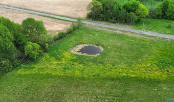 Tract 4 County Road 155, Anderson, AL 35610