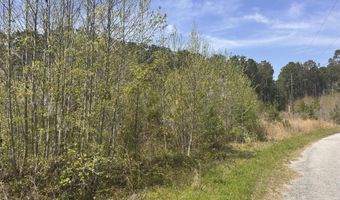 Tract 5 Smith Lane, Bowman, SC 29018