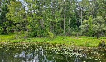 425 Courtney Rd, Addison Twp., MI 48367