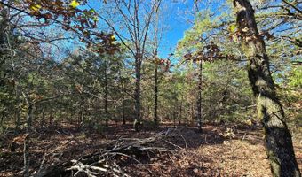 TBD Raw Land, Bates, AR 72958