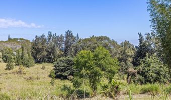 43-1966 PAAUILO MAUKA Rd, Honokaa, HI 96727