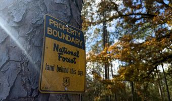 0 Progress Road Rd, Beaumont, MS 39423