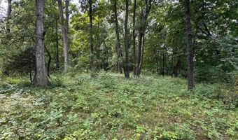 tbd N 225 E Road, Attica, IN 47918