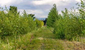 9001 2100 Rd, Austin, CO 81410
