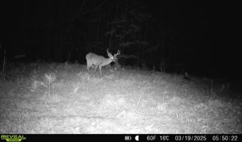3 County Road 5112, Ethel, MS 38829