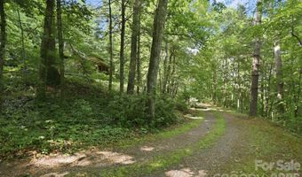 3 Parkview Drive Ext, Asheville, NC 28805