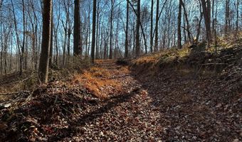 436 HINSONS FORD Rd, Amissville, VA 20106