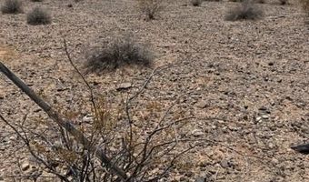 4755 Gold Butte Rd, Bunkerville, NV 89007