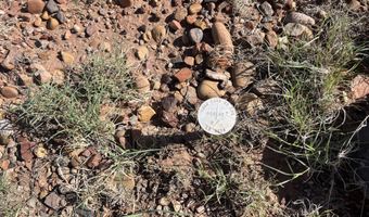 1342 County Road 5020, Concho, AZ 85924