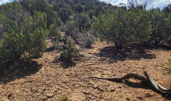 15 Co Rd 3041, Concho, AZ 85924
