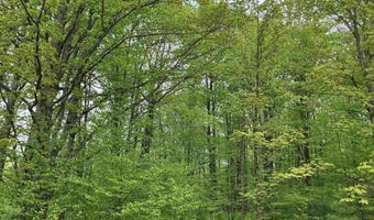 9718 NE FOREST LANE Dr, Alden, MI 49612