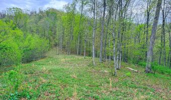 2789 Dry Fork Rd, Bandy, VA 24602