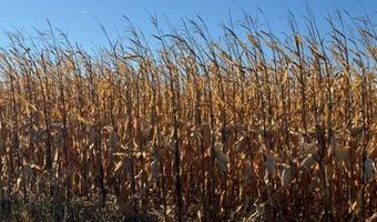 103 Acres Gibbs Twp, Bismarck, ND 58503