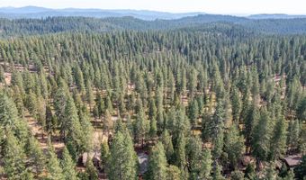 2110 Silverado Way, Arnold, CA 95223
