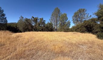 41902 Woodward Way, Ahwahnee, CA 93601