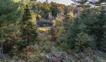 Luke Road, Amasa, MI 49903