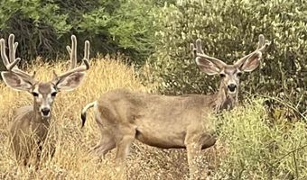 5830 E RESTIN Rd, Carefree, AZ 85377