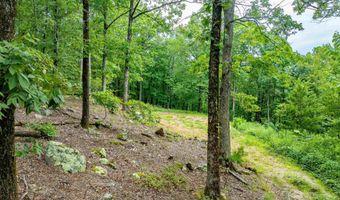 100 Block SPANISH MINE, Jessieville, AR 71909