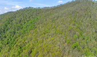 21 Reillys Bluff Rd 1, Barnardsville, NC 28709