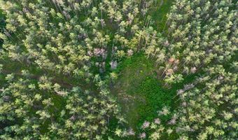 Hwy 9, Bruce, MS 38915