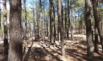8 B County Road 2267 Escudilla Rd, Alpine, AZ 85920