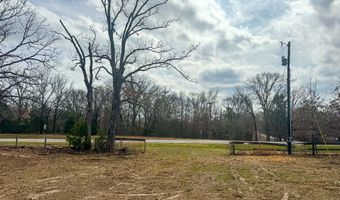 9696 Fm-515, Alba, TX 75410