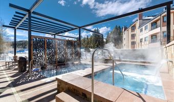 535 S PARK Ave 209, Breckenridge, CO 80424