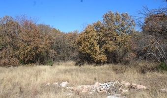 450 Rolling Hills Blvd, Alvord, TX 76225