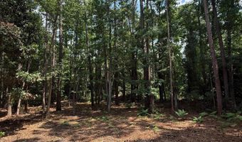 86 Wade Hampton Dr, Beaufort, SC 29907