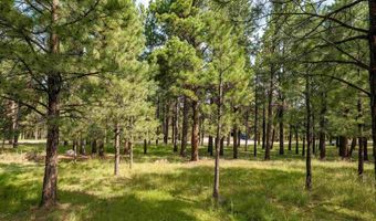 Lot 1127 Spyglass Hill Rd, Angel Fire, NM 87710