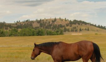 Robinson Road, Belle Fourche, SD 57717