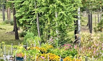 13818 Crystal Creek Ln, Bigfork, MT 59911