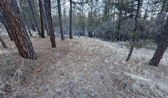 Bobcat Circle, Beatty, OR 97621
