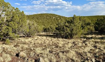 37 Co Rd N8174 10.1 Acres, Concho, AZ 85924