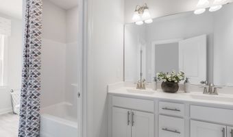 329 CALVANDER Ln, Apex, NC 27539