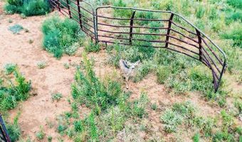 17616 N Private Road 2220, Abernathy, TX 79311