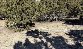 Andy's Way, Elko, NV 89801