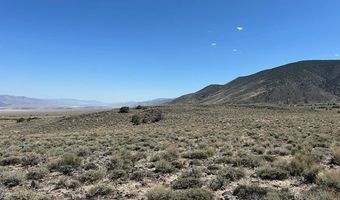 1330 WILD HORSE RUN, Dyer, NV 89010