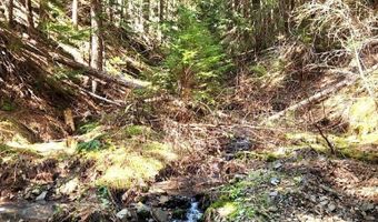 19856 B St Joe River Rd, Calder, ID 83808