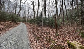 Lt 170 Granny Squirrel Drive 170, Andrews, NC 28901
