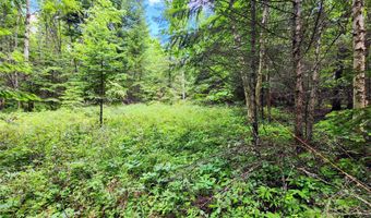 13727 Big Hawk Dr, Bigfork, MT 59911
