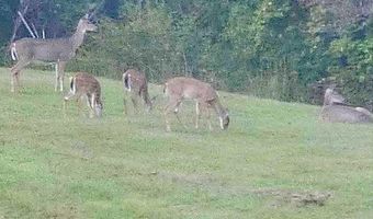 1668 State Hwy 498, Beattyville, KY 41311