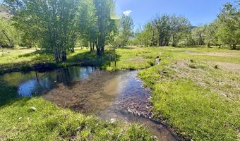 9885 Challis Creek Rd, Challis, ID 83226