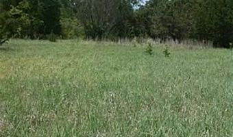 0000 FM 1602, Hico, TX 76457