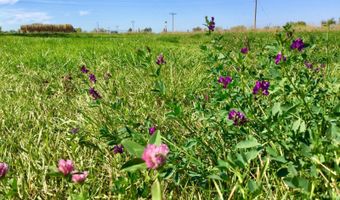 2480 E I Rd, Ballantine, MT 59006