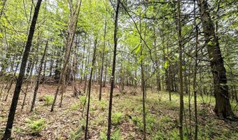 Stewart Road, Addison, NY 14801