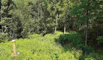 2711 Hatley Rd, Fife Lake, MI 49633