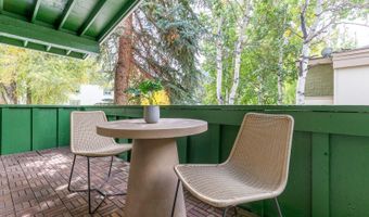 415 Park Cir 5, Aspen, CO 81611