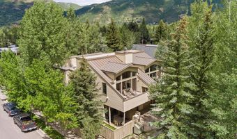 123 W Hyman Ave Unit A, Aspen, CO 81611